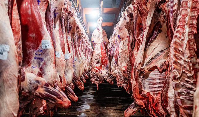 El Gobierno amplió las retenciones cero a la exportación de carnes