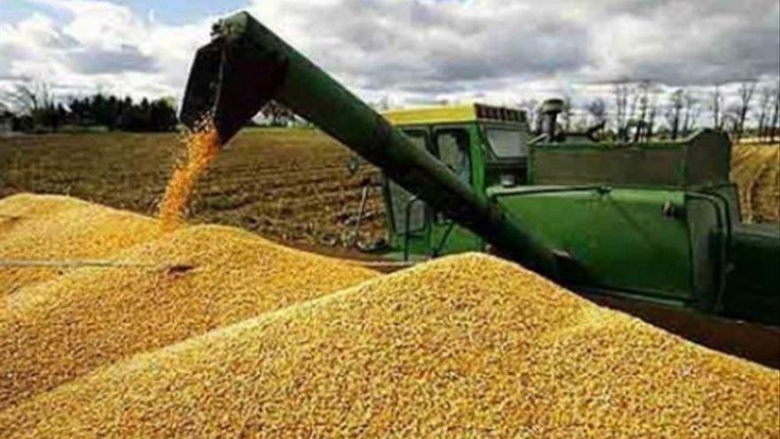 Polémica por el fin exprés de las retenciones cero: el agro denuncia maniobras y cerealeras en la mira